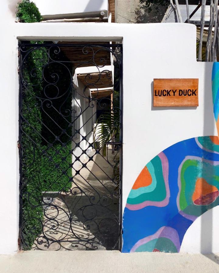 Lucky Duck Pj Otel Cancun Dış mekan fotoğraf