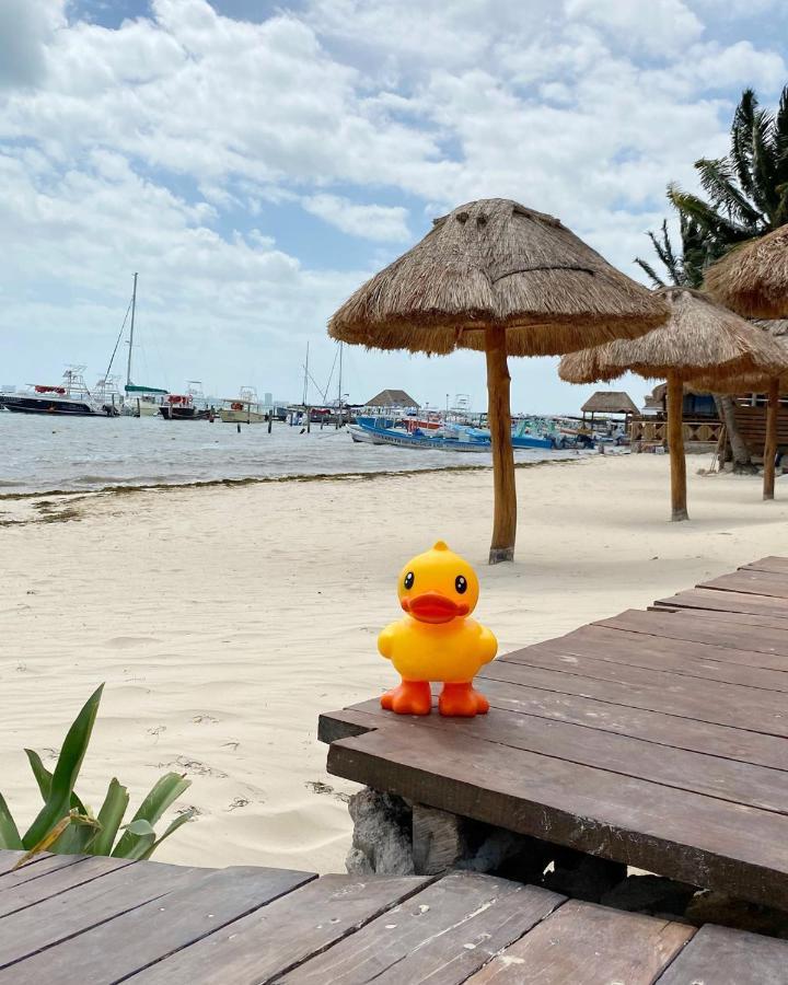 Lucky Duck Pj Otel Cancun Dış mekan fotoğraf