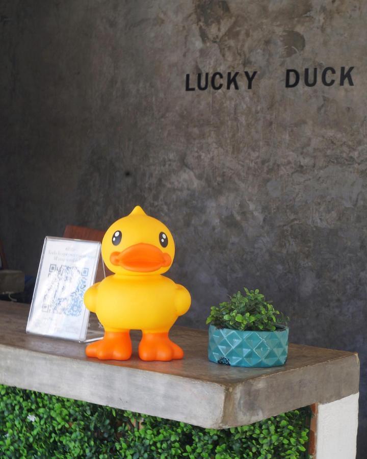 Lucky Duck Pj Otel Cancun Dış mekan fotoğraf